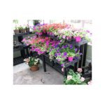 2 Shelf Corner Display