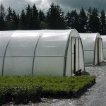 1000 Series Hoop House Australia