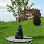 Dew Right Tree Water Bag