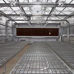 Greenhouse Growing