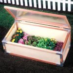 Sunshine GardenStarter Kit