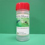 Aphidius Colemani/Ervi