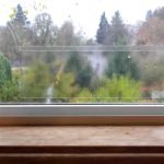 Window Bug Catcher Trap | 5/Pack