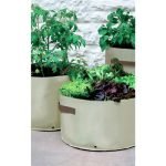 Vegetable Patio Planter 3/pack
