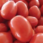 Tomato, Roma VF, Seed Packet